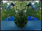 (77) ez7 bmx montage.jpg    (1000x730)    473 KB                              click to see enlarged picture